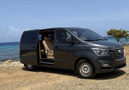 Hyundai H1 | 12 Persons