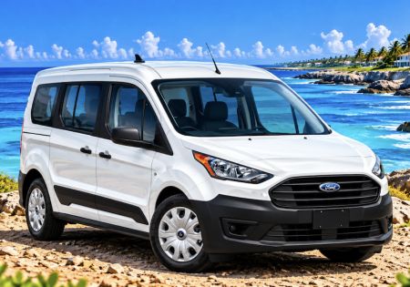 Ford Transit 5 plazas y apto para silla de ruedas 